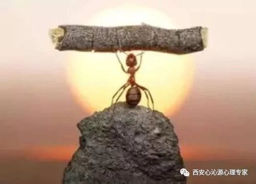 心沁源心理咨询