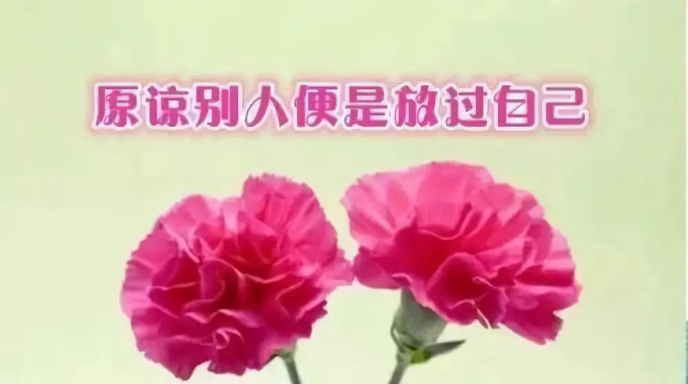 心沁源心理咨询