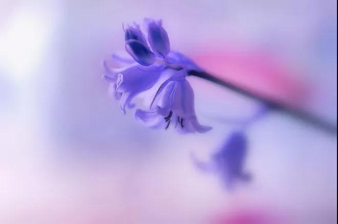 西安心沁源心理咨询