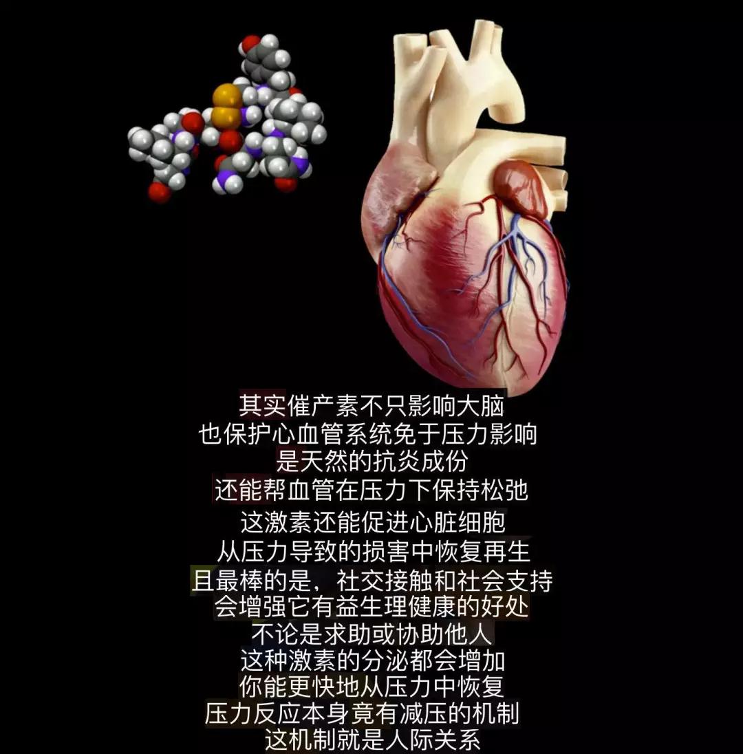 西安心沁源心理中心