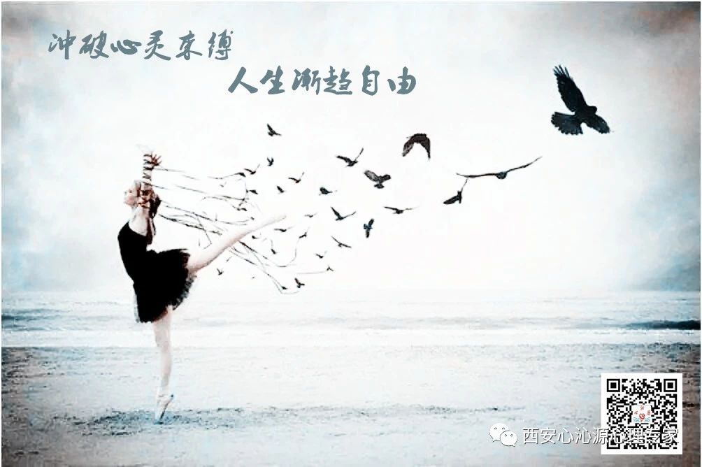 心沁源心理咨询专家